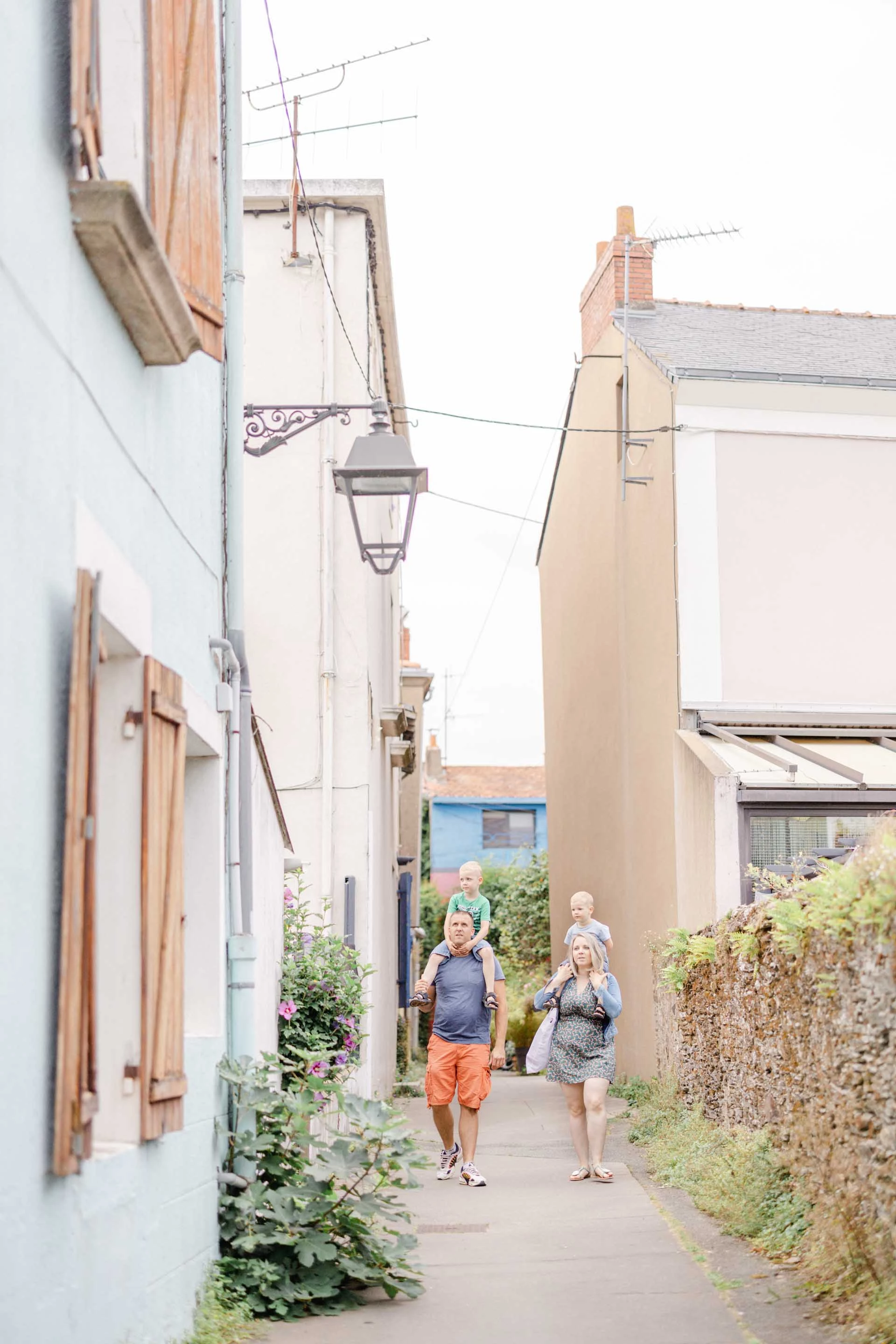 rue passerelle plante d'intérieur gris marron